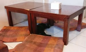 Mango at Mango in Bangkok