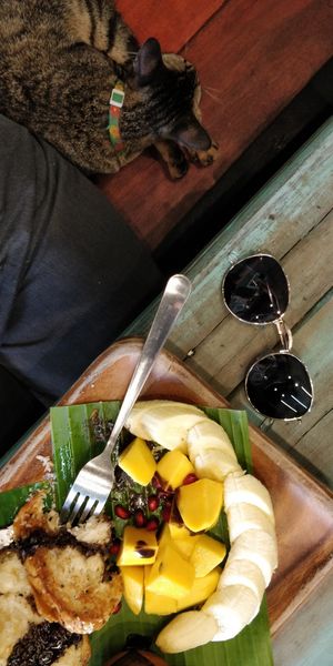 Cat cuddles at Mango in Bangkok