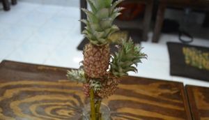 gorgeous decoration  at Mango in Bangkok