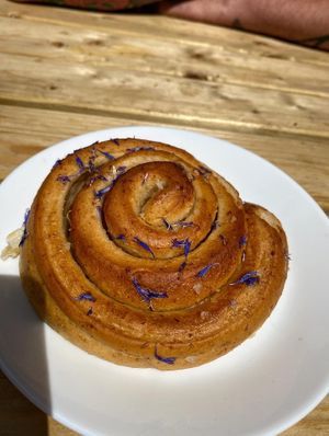 Vegan bun  at Wyatts Cafe in Derby