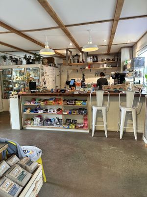 The counter has a friendly server, all the convenience store candy and gum, but also baked goods from New Day Eatery, coffee, tea.  Fresh sandwiches are premade in a refrigerator.  at Lincoln Park Grocery in Port Angeles