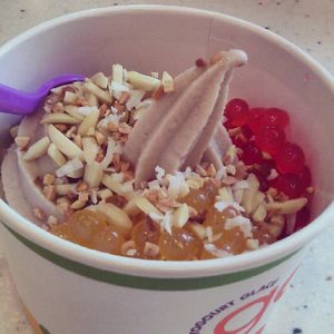 Coconut and vanilla almond milk froyo at Goji's in Halifax