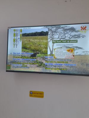 They follow the Supreme Master and are all vegan at Quán chay THIÊN Y in Ho Chi Minh City