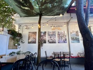 Courtyard dining   at Oda in Tirana