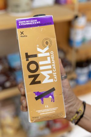  at Loja Espaço Semente in Itacare