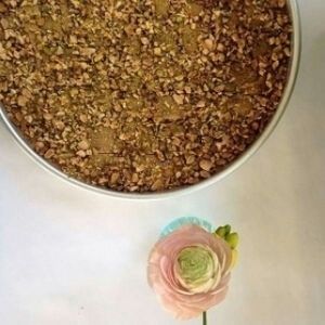 Kamilou at Kamilou in Brussels