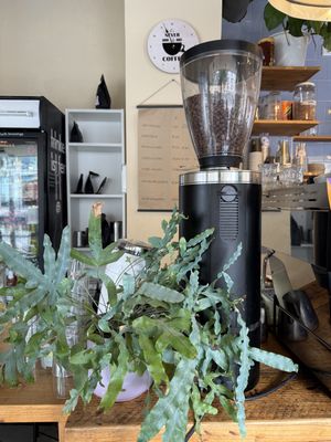 inside  at Café Boxenstopp in Cologne