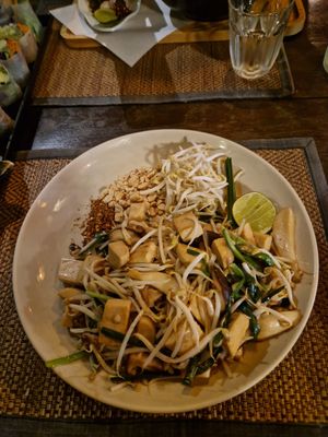  at Green Tiger House in Chiang Mai