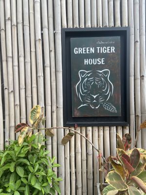   at Green Tiger House in Chiang Mai