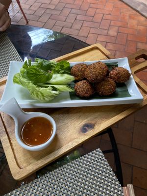 falafel  at Green Tiger House in Chiang Mai
