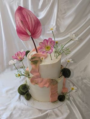  at Pink Palace Bakes in Sunderland
