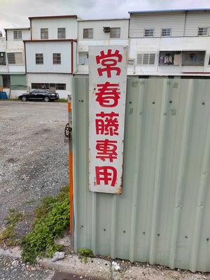 免費停車場 at Cháng ChūnTéng SùShí 常春藤素食 in Hualien