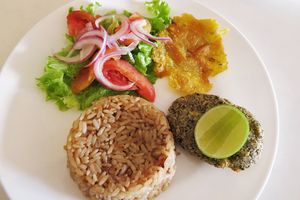 Plátano, burger, coconut rice and salad. at Herbívoro -  Av. Suba in Bogota