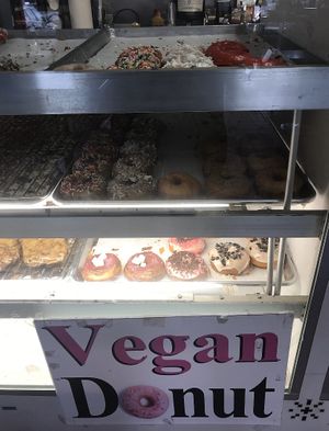 Vegan donuts! at Donut Panic in San Diego