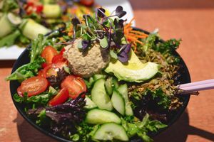 Big Salad at Live Organic Food in Toronto