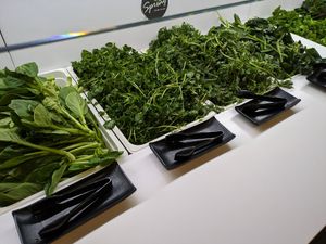  at Spring Shabu-Shabu in New York