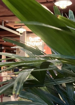 Heerlijke originele vegetarische gerechten, verrassende smaken Leuke industriële omgeving op oude scheepswerf, moeite waard om 5 minuten door te lopen na fastfoodhallen van Gdansk at Dust Kitchen in Gdansk