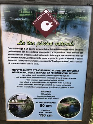 Info sul biolaghetto at Fattoria I Canarini in Fossalta Di Piave