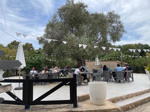 Villa vegana  at Villa Vegana in Mallorca