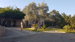  at Villa Vegana in Mallorca