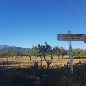 Amazing location at Villa Vegana in Mallorca