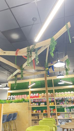 Interior  at Taichi Bubble Tea in Jackson