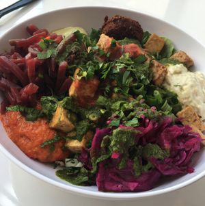 tofu and falafel bowl at The Chickpea in West Palm Beach