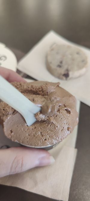 Gianduia gelatto at Grezzo Raw Chocolate in Rome