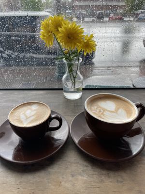 Oat milk lattes on a rainy day  at Firecreek Coffee Company in Flagstaff