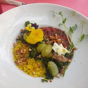 Seasonal Dish - 'Pole' at Wypas in Poznan