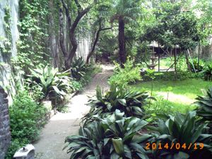 nice back garden un touchable at Teneffus Cafe in Istanbul