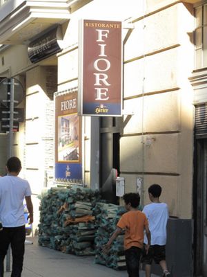 Fiore's firewood supply at Ristorante Fiore in Vienna
