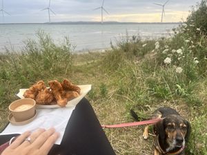   at Svampe Kompagniet Food in Ebeltoft