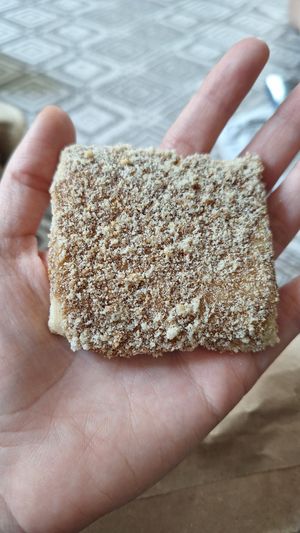 Muégano, galleta típica de Cholula 😄 at Plant Neta Cafe in Puebla