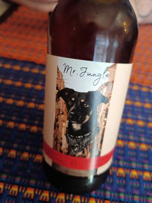 Kombucha at Chato in Lisbon