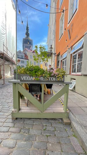 Patio area  at Vegan Restoran V in Tallinn