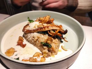 Risotto at Vegan Restoran V in Tallinn