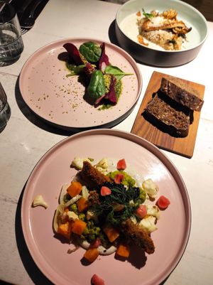 Lunch at Vegan Restoran V in Tallinn