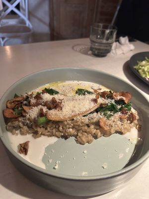 Risotto  at Vegan Restoran V in Tallinn