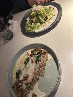 Risotto and lasagna   at Vegan Restoran V in Tallinn