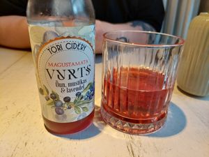 Carbonated apple juice with wild blueberries and lavender, non-alcoholic drink at Vegan Restoran V in Tallinn