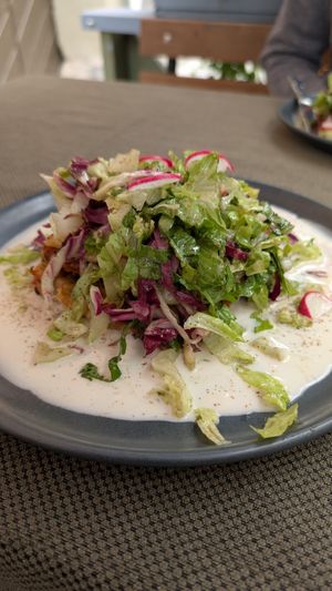 Absolutely superb lentil lasagna with white wine sauce. at Vegan Restoran V in Tallinn