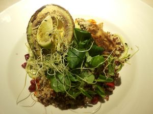 Grilled avocado, grilled tofu, kinoa, sprouts, hummus and leafy greens at Vegan Restoran V in Tallinn