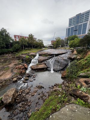   at O-Cha Tea Bar in Greenville