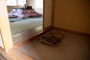 Our slippers to walk around the monastery. You don't wear them on the tatami floors of your room, though. at Ekoin in Koya