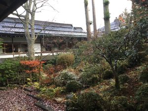 Garden view from room at Ekoin in Koya