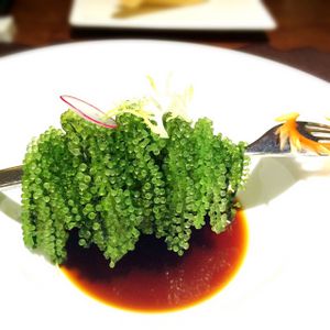 seaweed at WUJIE 大蔬无界 - The Bund in Shanghai