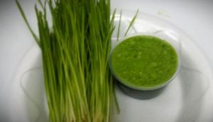 Wheatgrass shot at Carrot Express - South Beach in Miami Beach