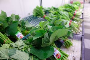 Greens at iVegan Supermarket in Taipei