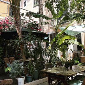 Garden  at Temple Natura in Mallorca